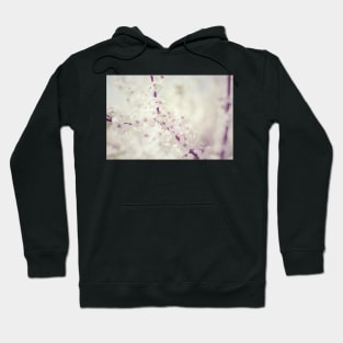 Cherry tree blossom Hoodie